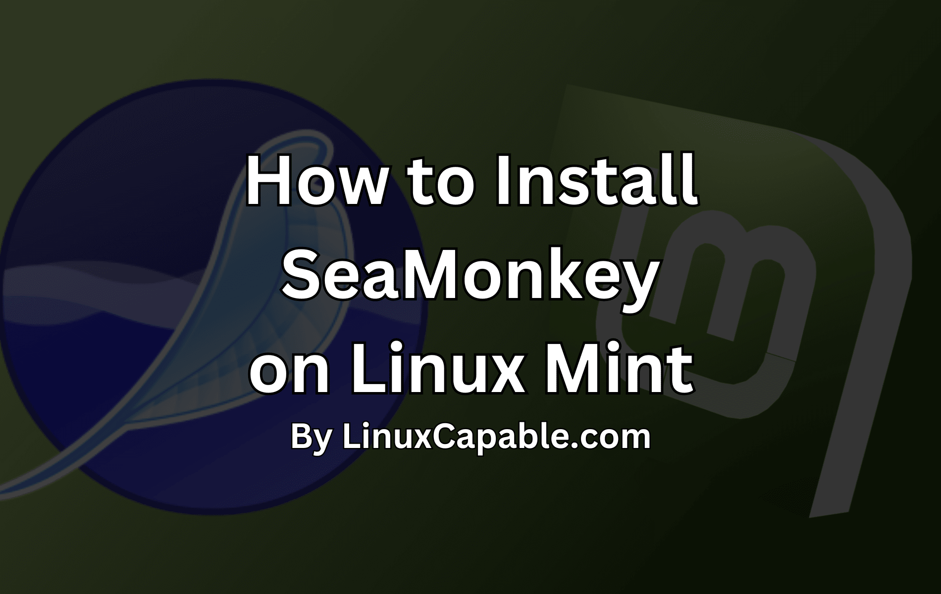 So installieren Sie Seamonkey unter Linux Mint 22, 21 oder 20