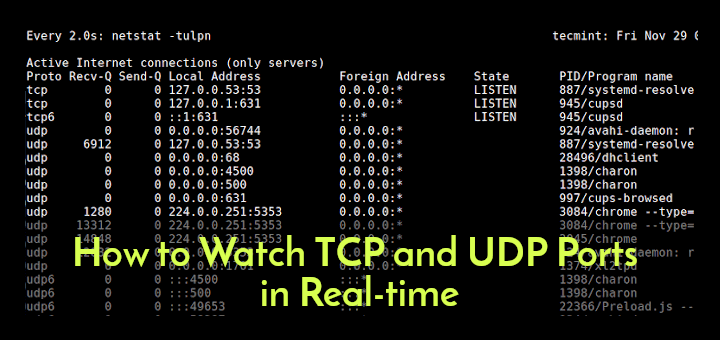 So überwachen Sie TCP- und UDP-Ports in Echtzeit