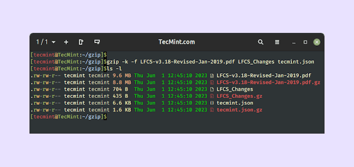 13 Praktische Beispiele für die Verwendung des GZIP 